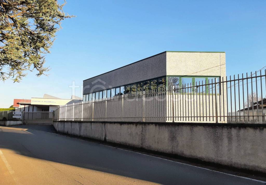 immagine annuncio 7 di 13