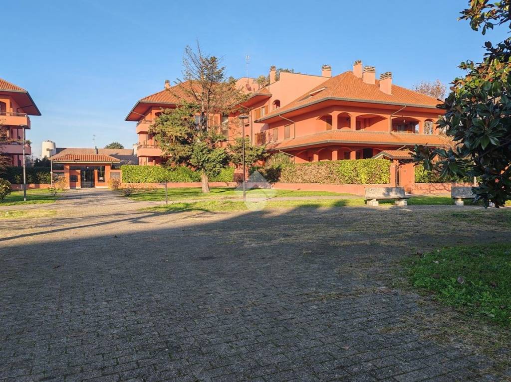 immagine annuncio 6 di 15