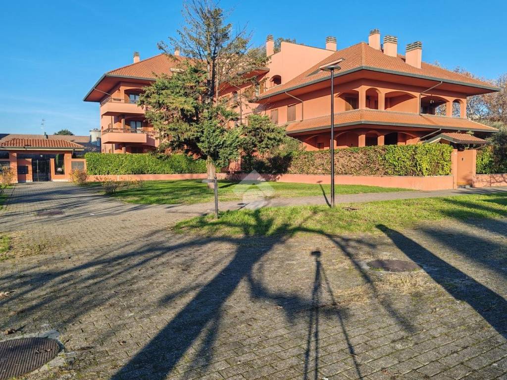 immagine annuncio 8 di 15