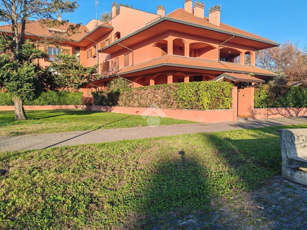 immagine annuncio 9 di 15