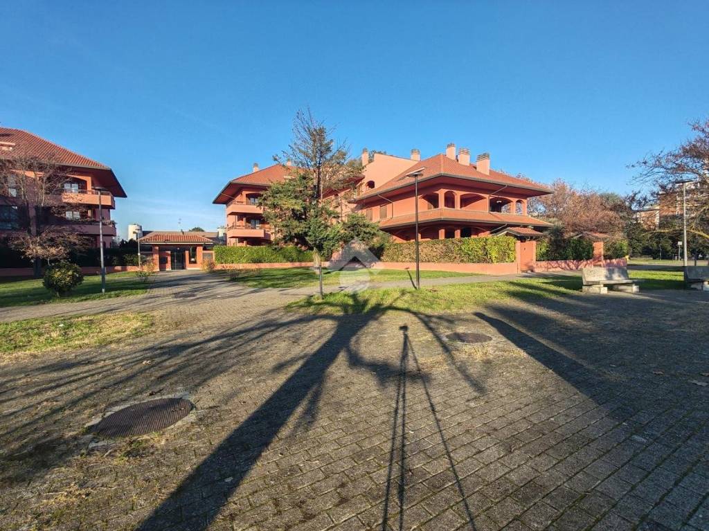 immagine annuncio 11 di 15