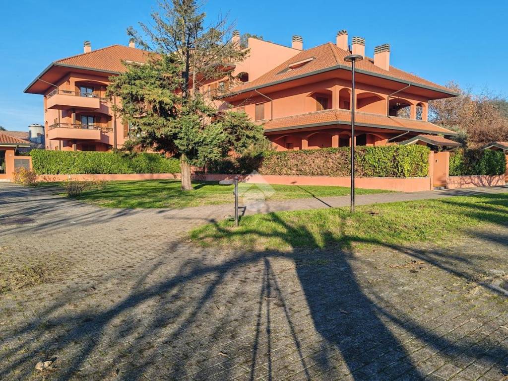 immagine annuncio 12 di 15