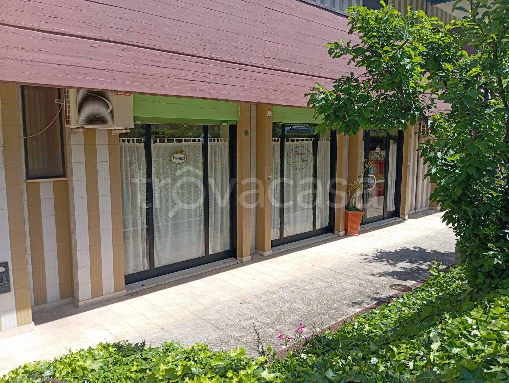 immagine annuncio 1 di 7