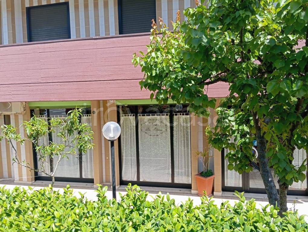 immagine annuncio 2 di 7