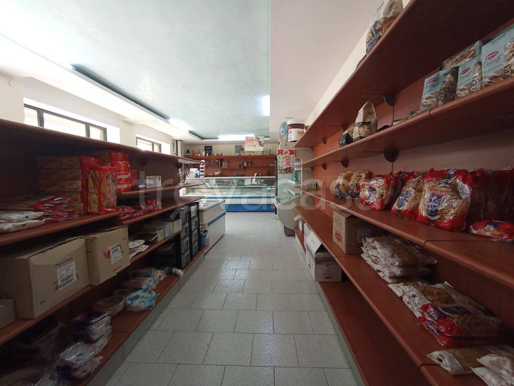 immagine annuncio 4 di 7