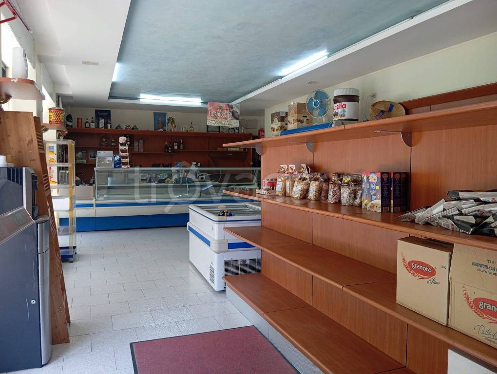 immagine annuncio 5 di 7