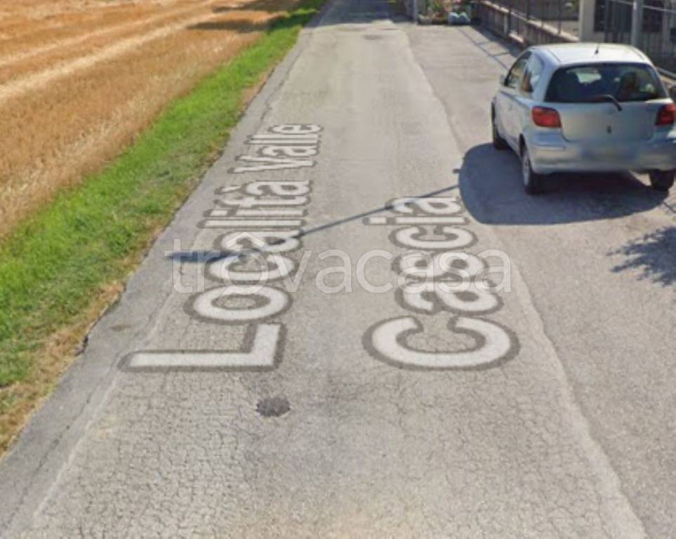 immagine annuncio 4 di 14