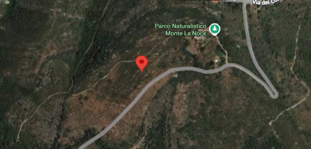 immagine annuncio 6 di 12