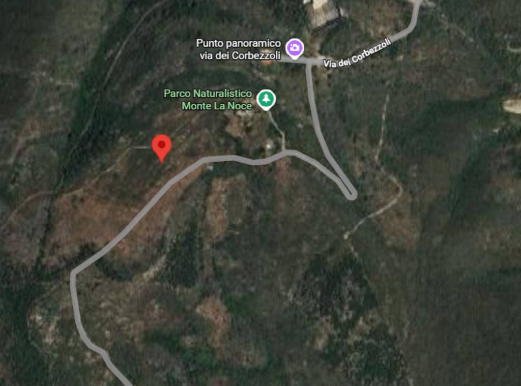 immagine annuncio 8 di 12