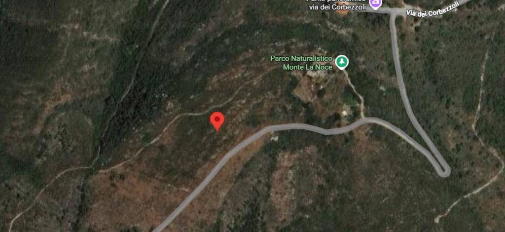 immagine annuncio 9 di 12