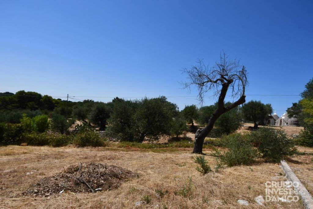 immagine annuncio 8 di 9