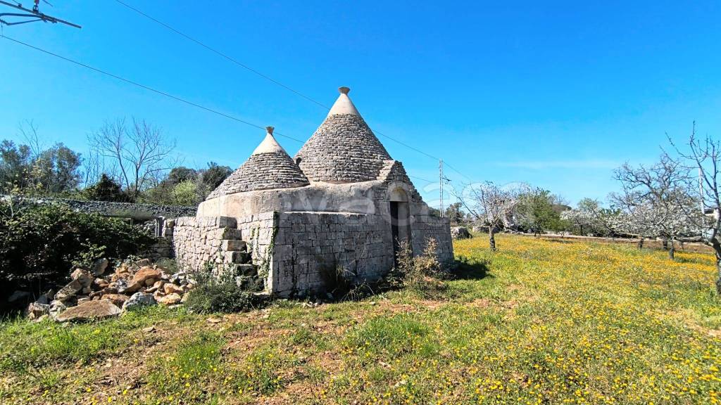 immagine annuncio 10 di 13