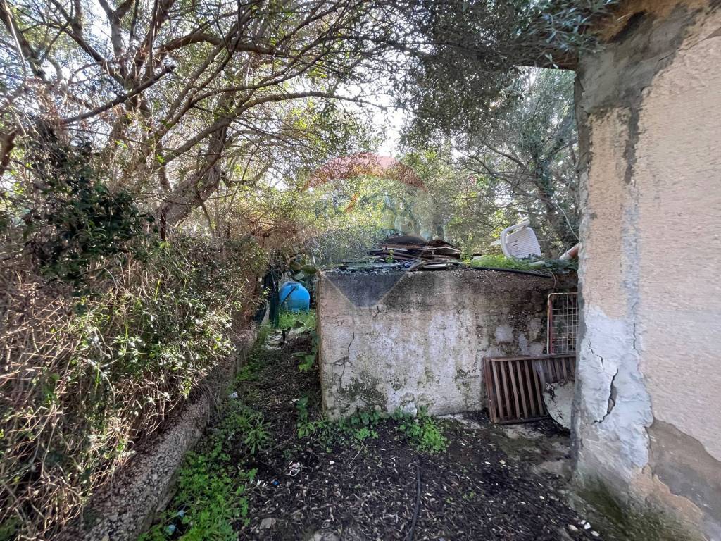 immagine annuncio 12 di 14