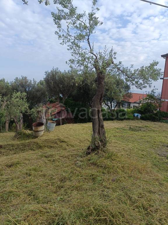 immagine annuncio 2 di 9