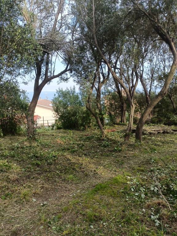 immagine annuncio 5 di 9