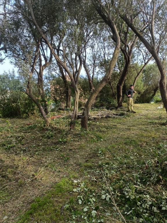 immagine annuncio 6 di 9