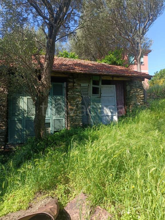 immagine annuncio 8 di 9