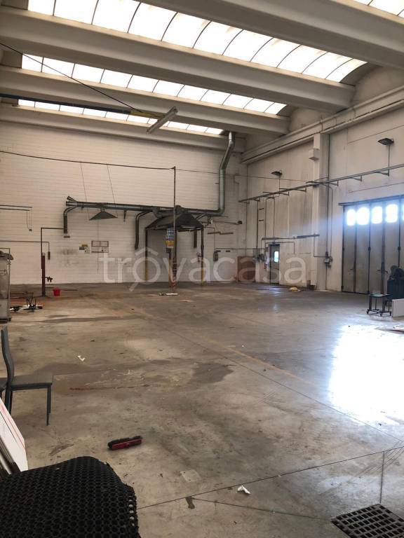 immagine annuncio 9 di 15