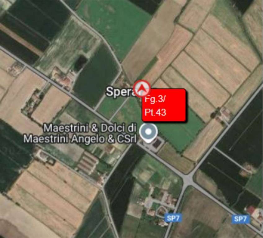 immagine annuncio 5 di 14