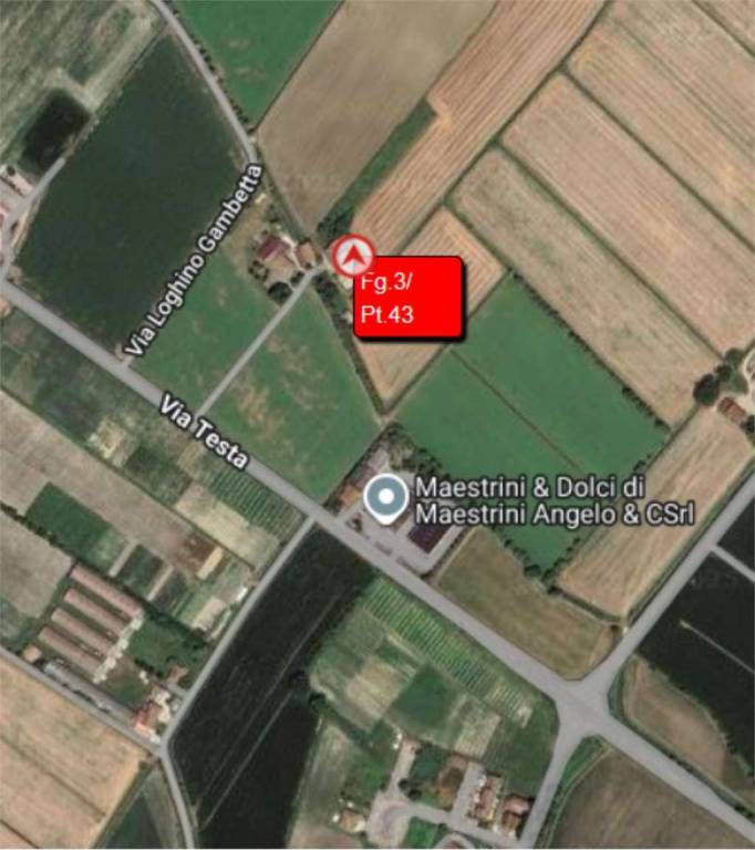 immagine annuncio 6 di 14