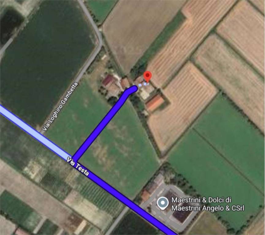 immagine annuncio 11 di 14