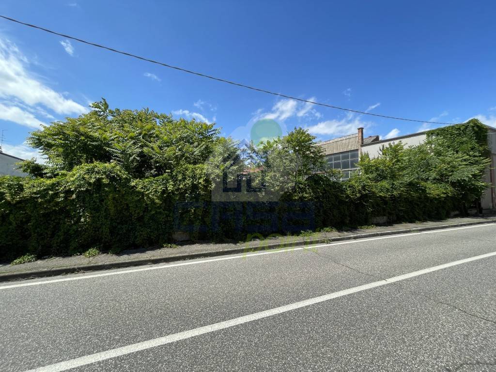 immagine annuncio 3 di 14