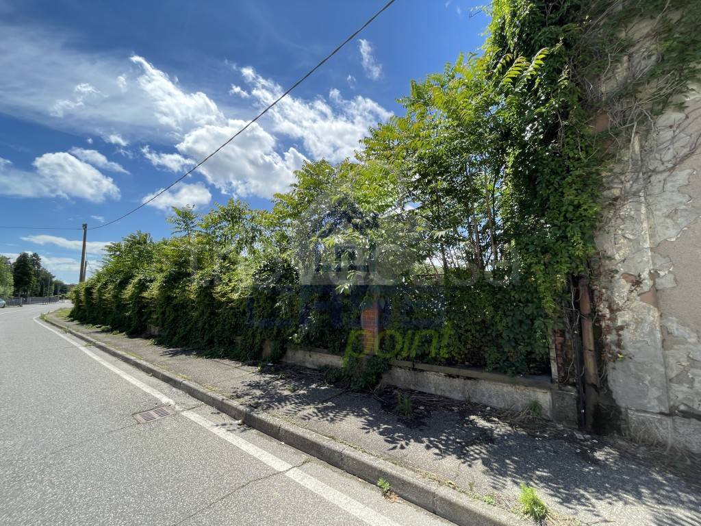 immagine annuncio 6 di 14