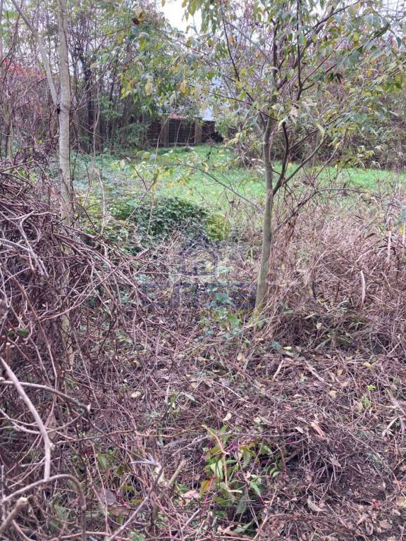 immagine annuncio 9 di 14