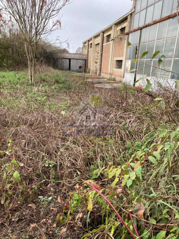 immagine annuncio 10 di 14