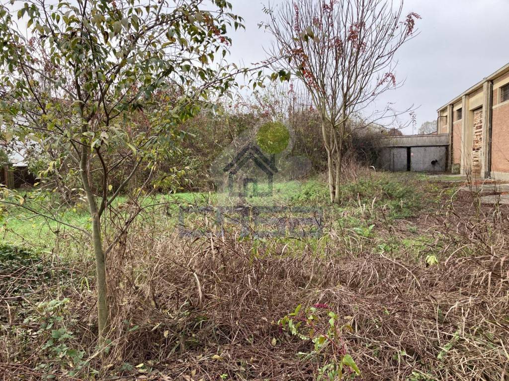 immagine annuncio 11 di 14