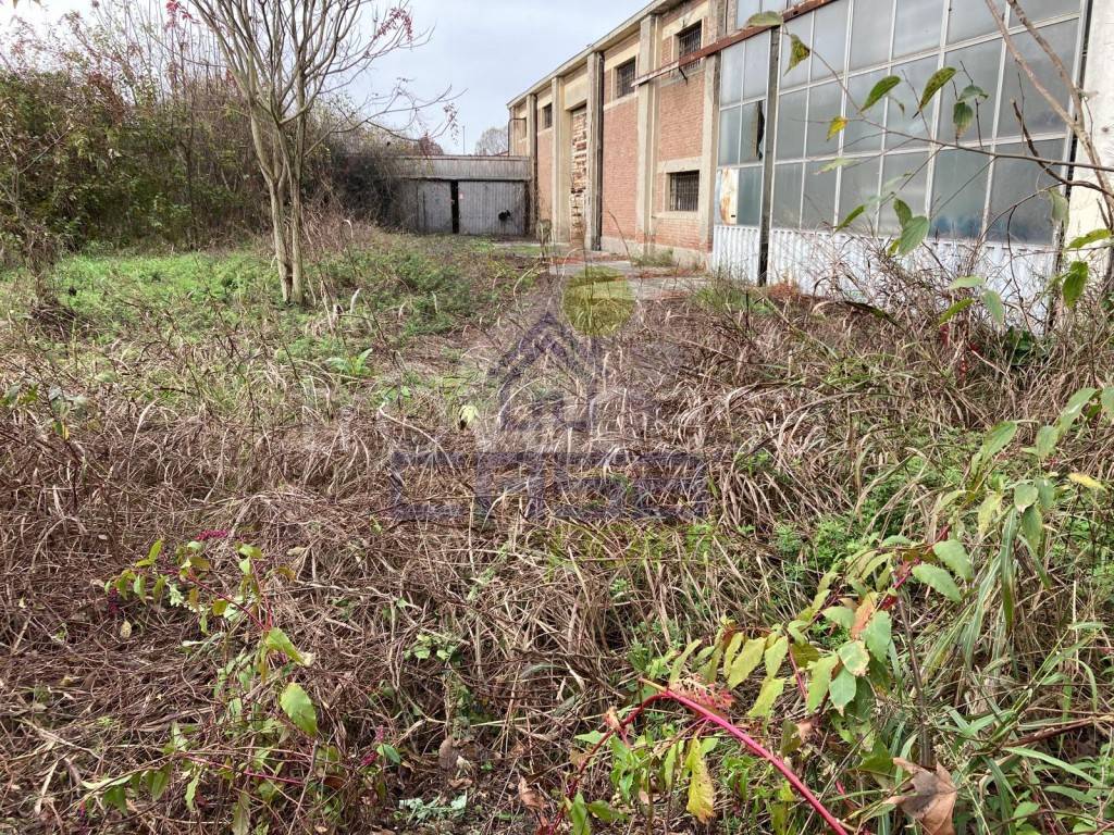 immagine annuncio 12 di 14