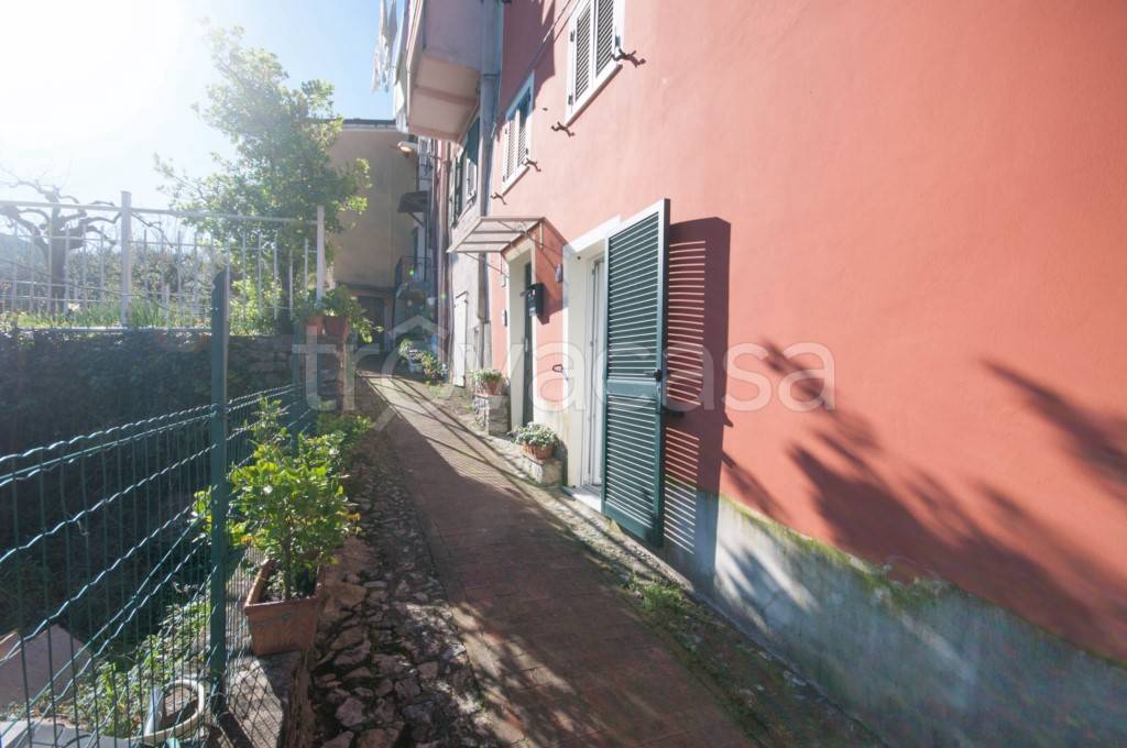 immagine annuncio 9 di 14