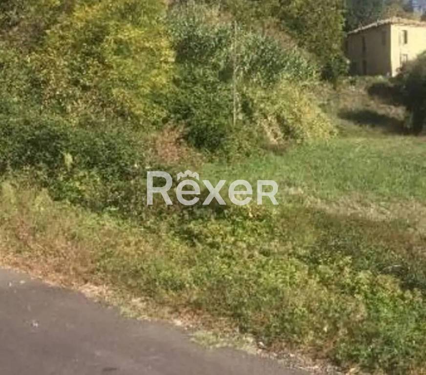 immagine annuncio 6 di 8