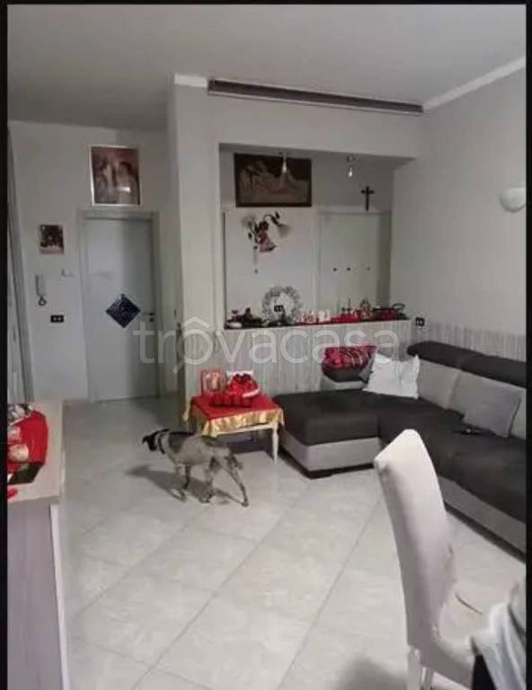 immagine annuncio 2 di 6