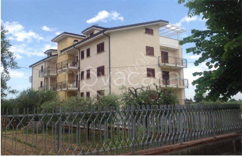 immagine annuncio 2 di 9