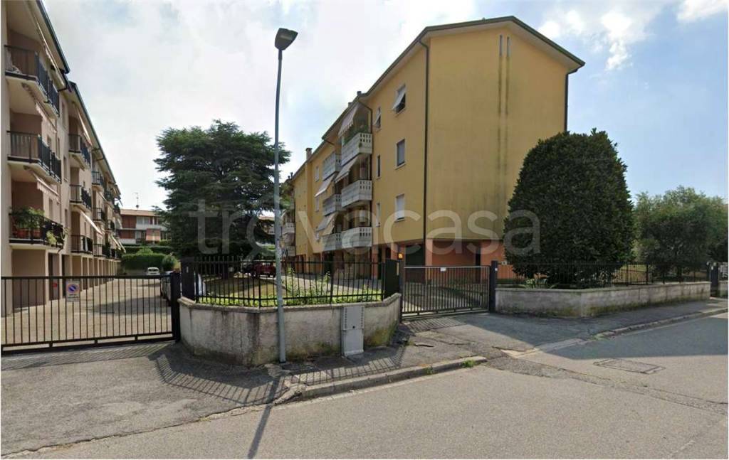 immagine annuncio 4 di 15