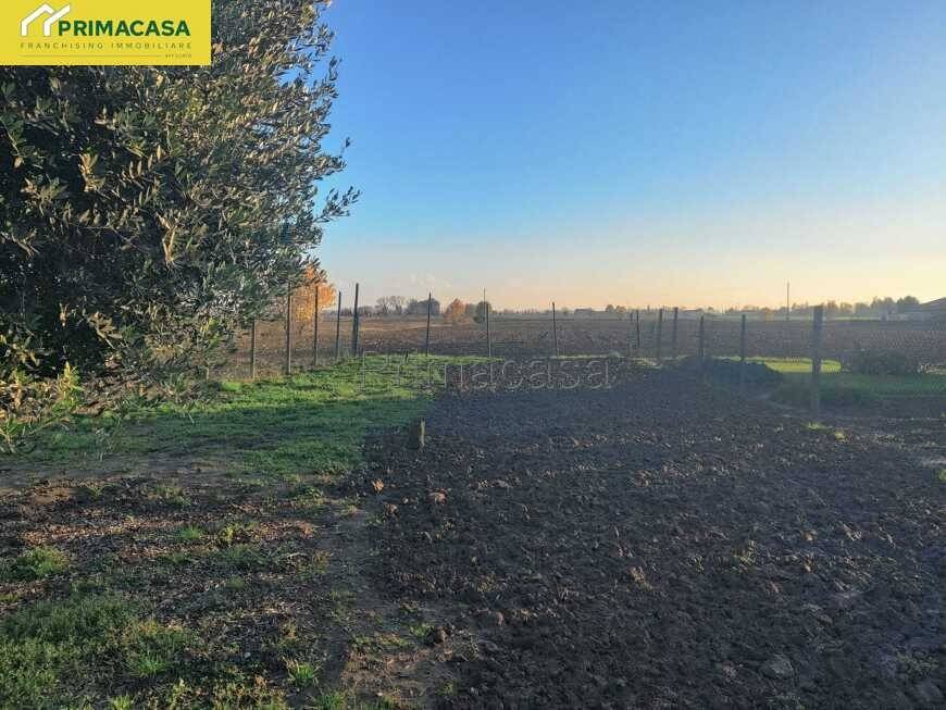 immagine annuncio 10 di 11