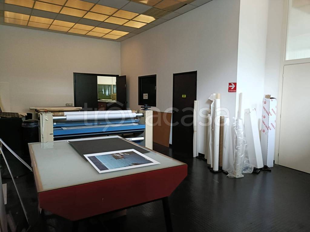 immagine annuncio 1 di 14