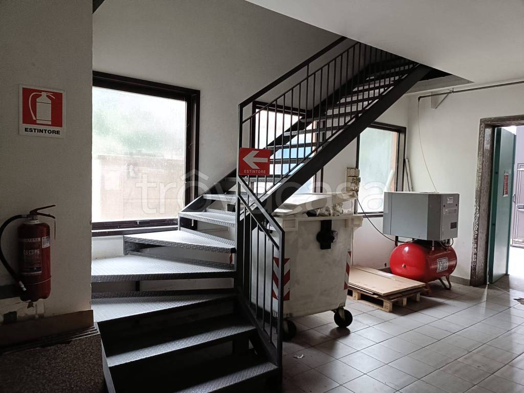 immagine annuncio 4 di 14