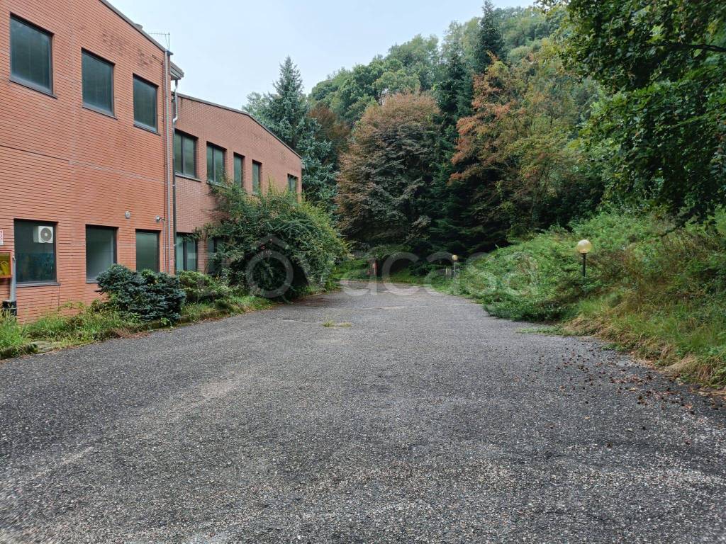 immagine annuncio 8 di 14