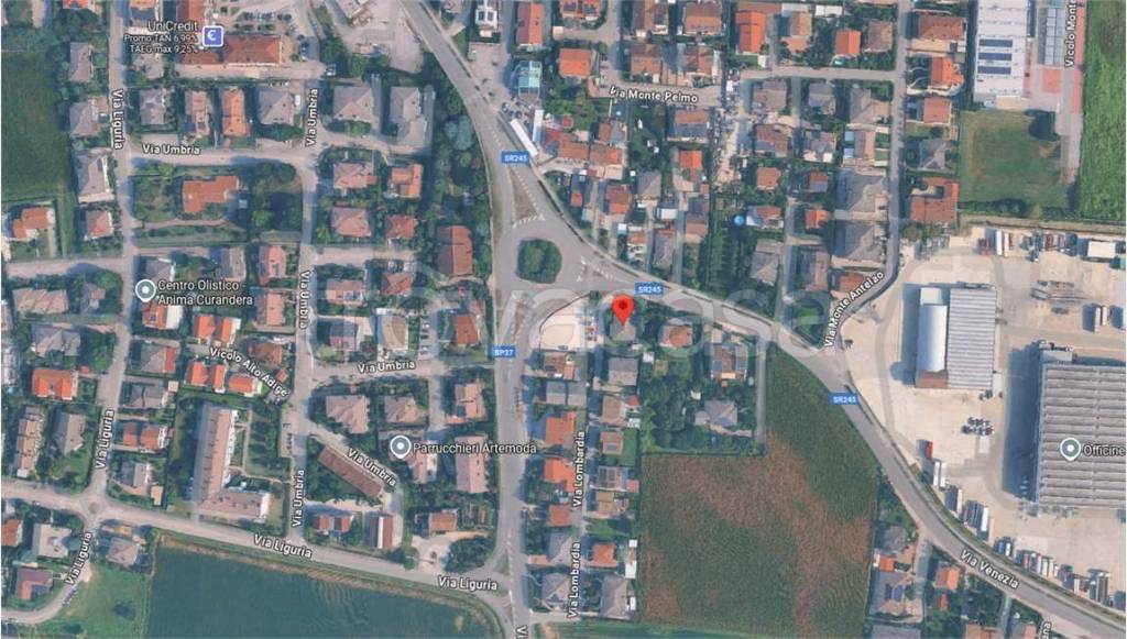 immagine annuncio 9 di 15