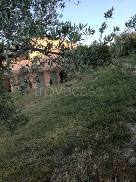 immagine annuncio 10 di 14