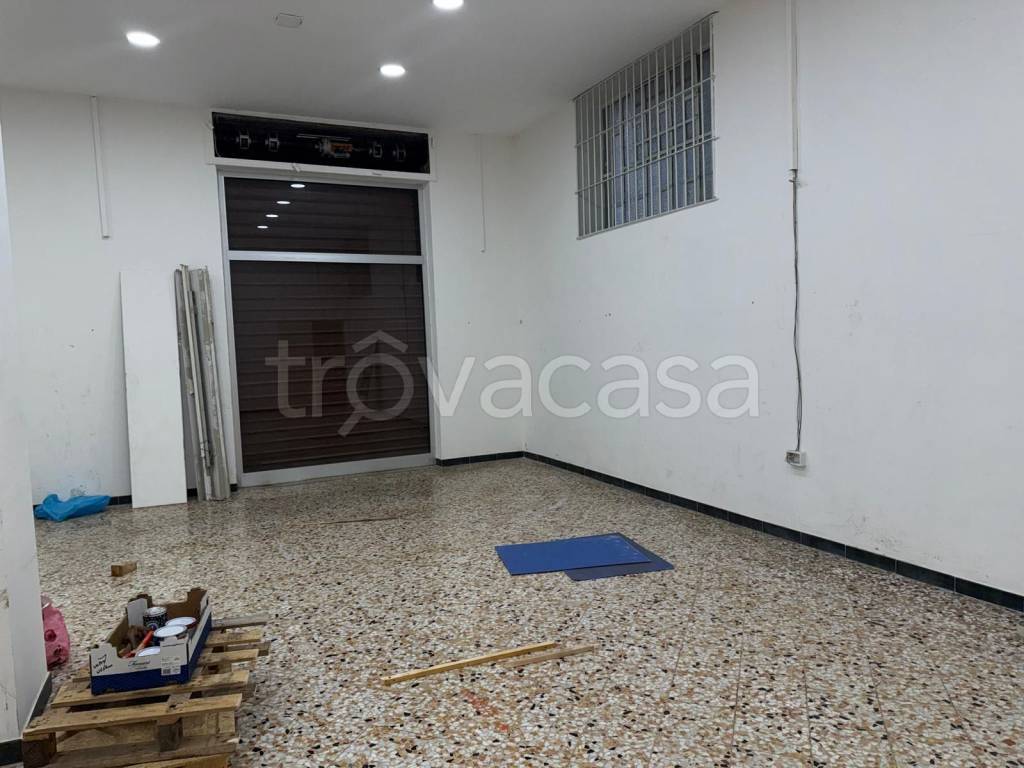 immagine annuncio 3 di 7