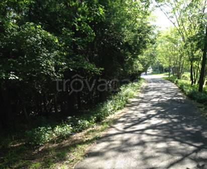 immagine annuncio 6 di 13