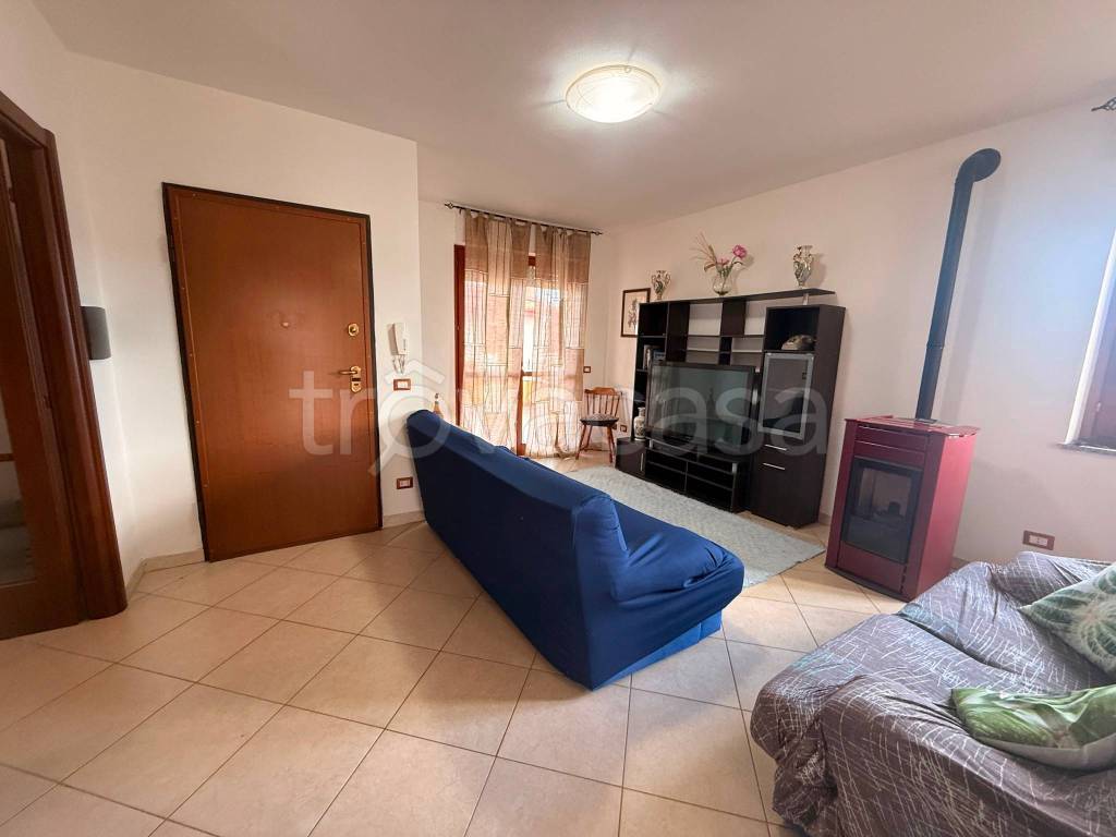 immagine annuncio 9 di 15