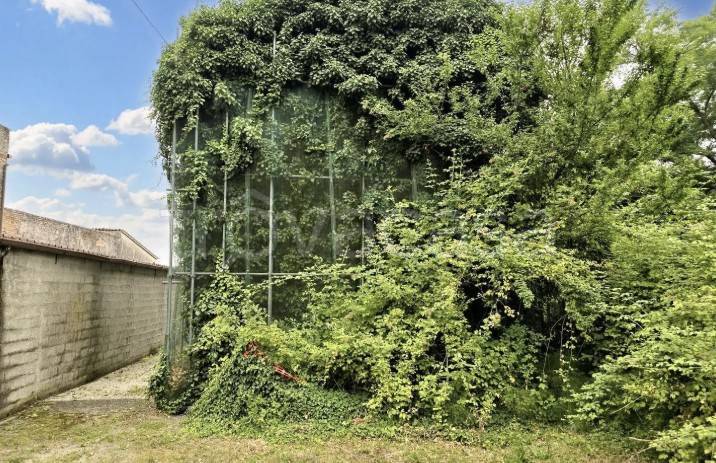 immagine annuncio 3 di 9