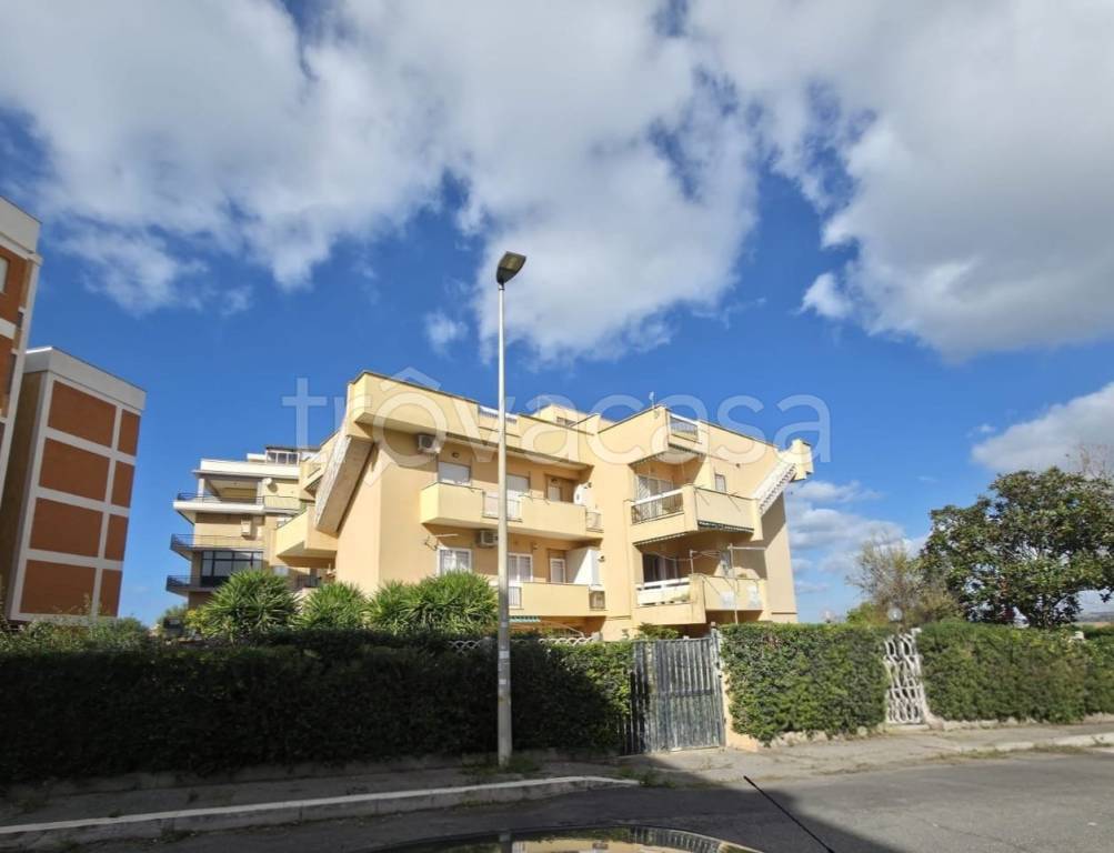 immagine annuncio 13 di 14