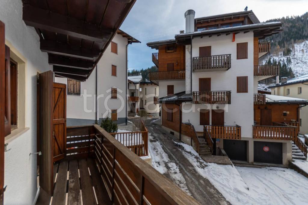 immagine annuncio 12 di 14