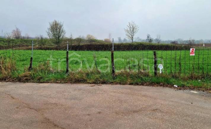 immagine annuncio 3 di 11