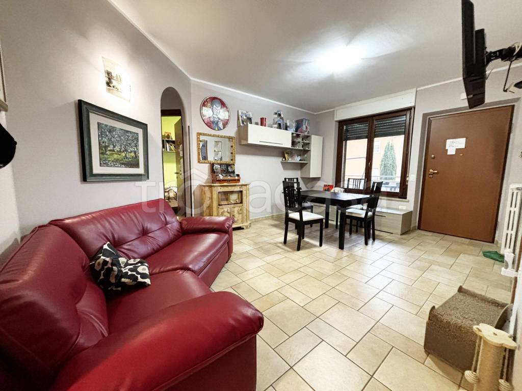 immagine annuncio 1 di 14